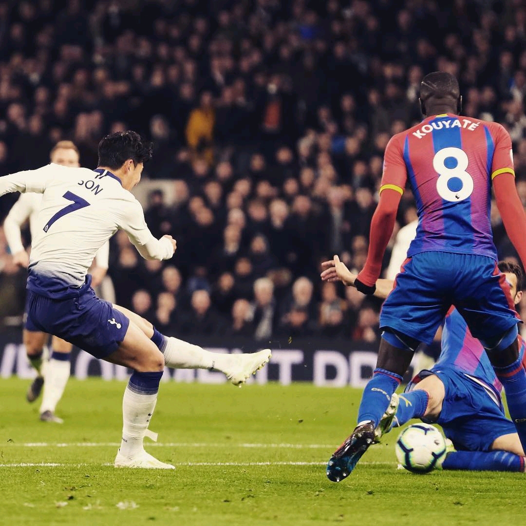 他们的健康 他们的健康